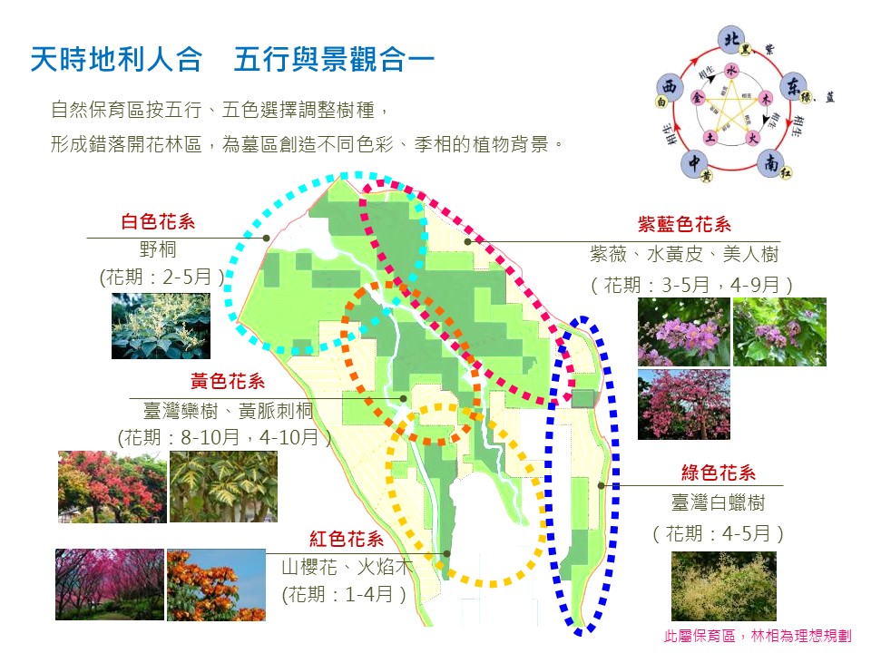 光之殿堂的周遭環境